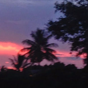 Meet your Posher, Braunk100